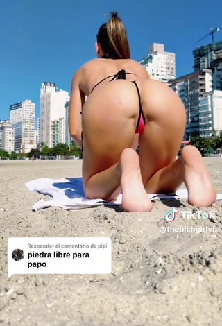 thebichgirlvb (@thebichgirlvb) #estilo cachorrinho  #lábios de buceta  #bikini  #anal  #bunda  #calcinha  «@thebichgirlvb The Bich Girl VB...»